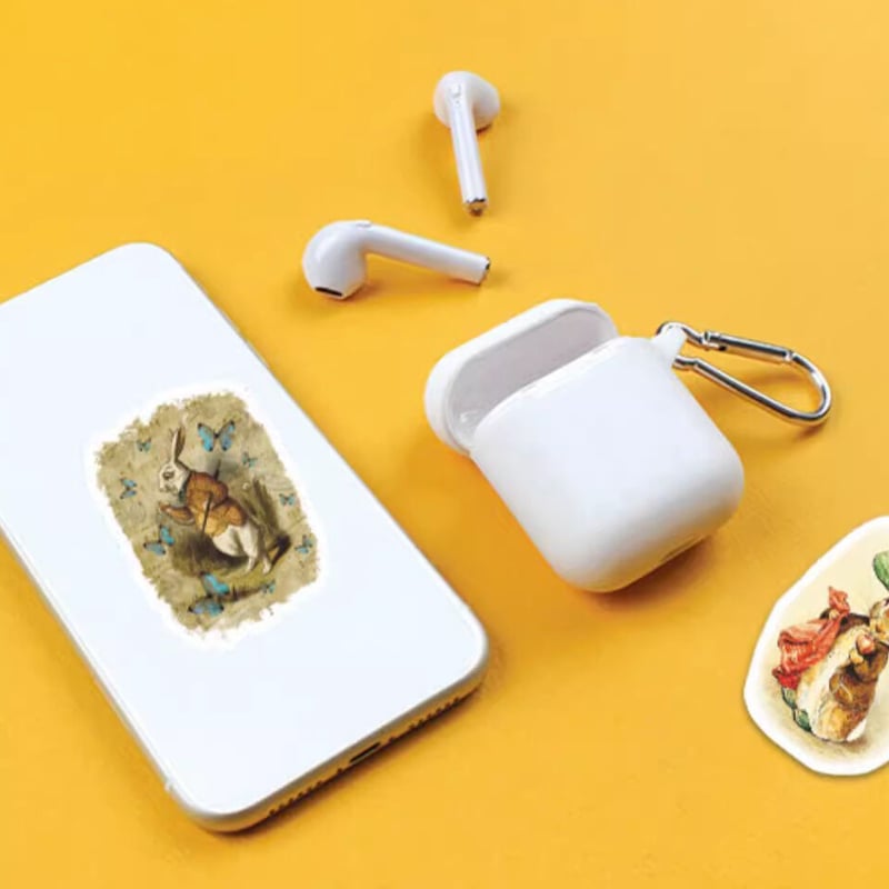 40枚 ピーターラビットC 防水ステッカー シール | aboo