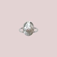 whipped cream dog ring