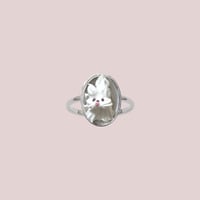 whipped cream dog ring