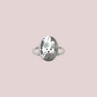 whipped cream dog ring