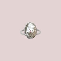whipped cream dog ring