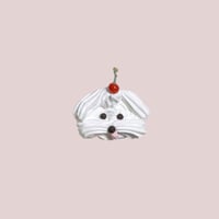meringue cookie｛shih tzu｝