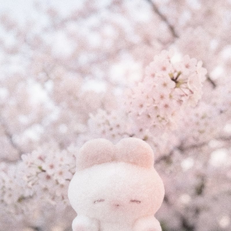 こいねむちゃん | REMME