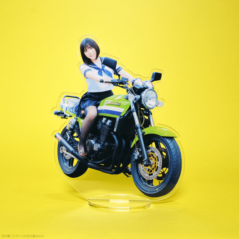 イベント不参加】夜道雪1st写真集『ひめごと』＋アクリルスタンド付き 
