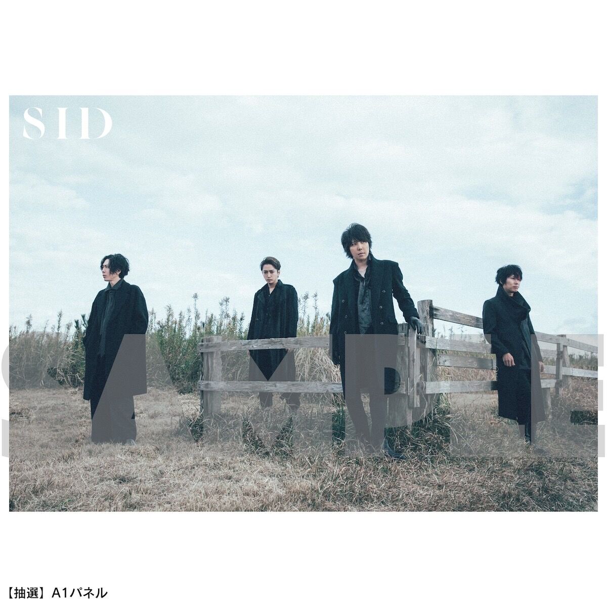 シド】『海辺』Artistic盤(CD+Blu-ray+PHOTO BOOK＋BOX仕様)V