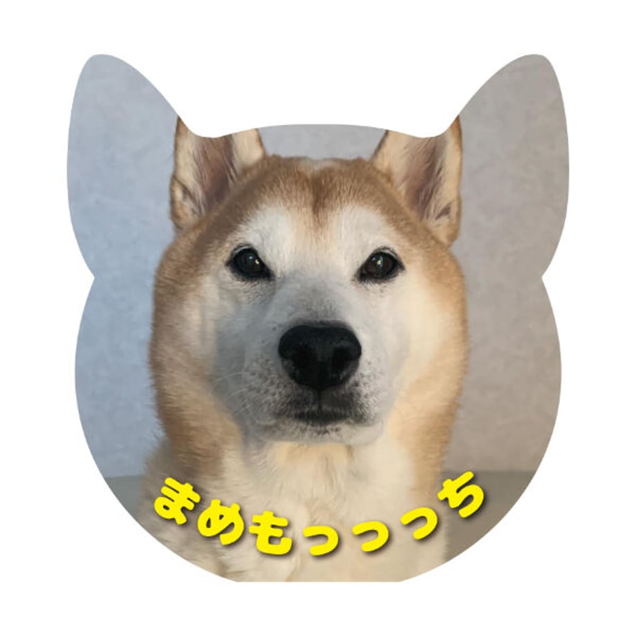 63af0e55c9883d78a7e2b4b7