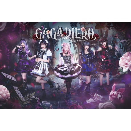 Heroines　Album CD 13枚セット HEROINES ALBUM 2025 Ill ver.
