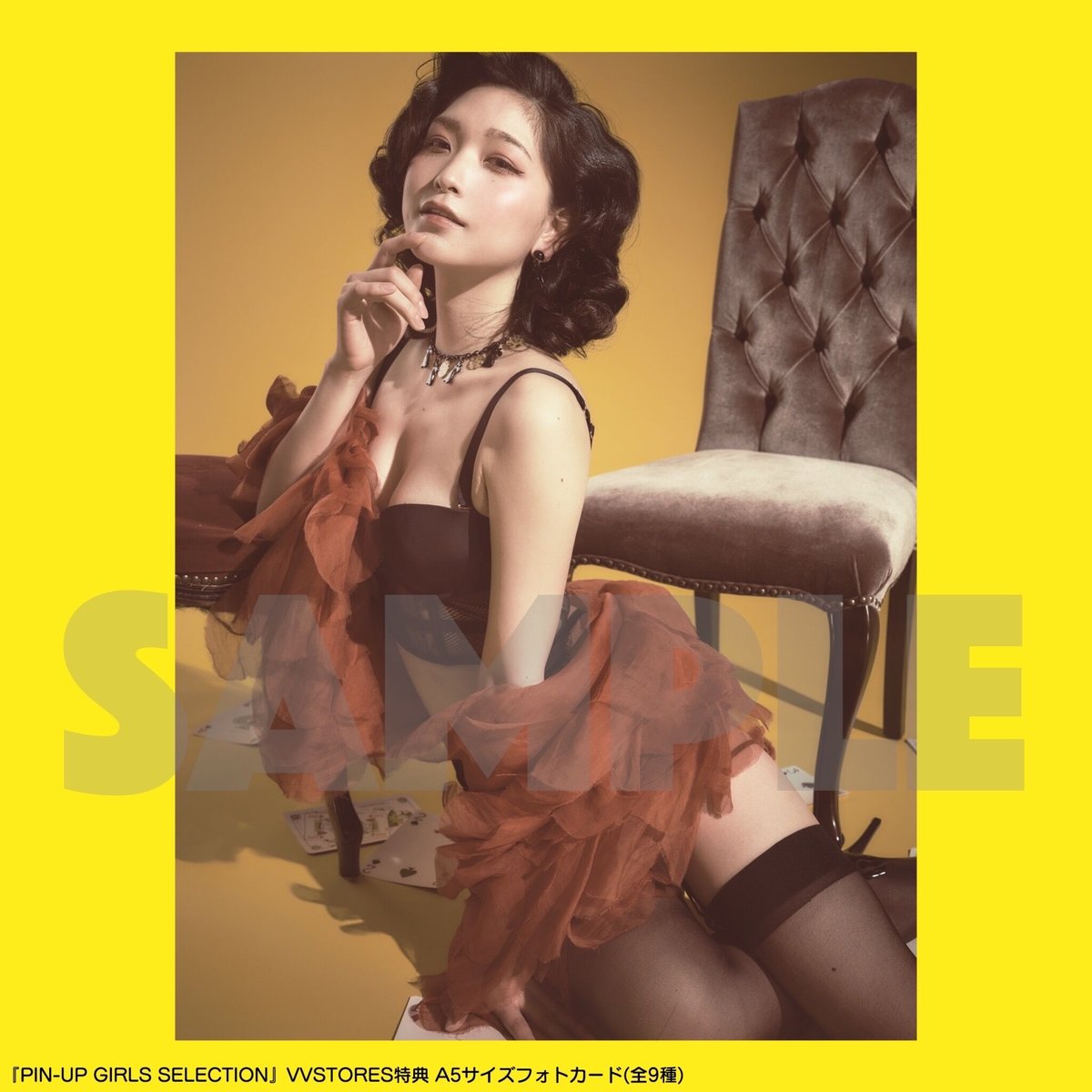 写真集「PIN-UP GIRLS SELECTION」VVSTORES限定特典付き | VIL