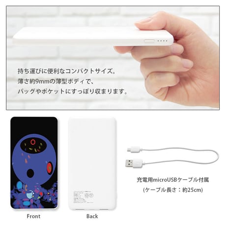 【コンタミ 第3弾】USB Type-C 4000mAhリチウムイオンポリマー充電器2.1A
