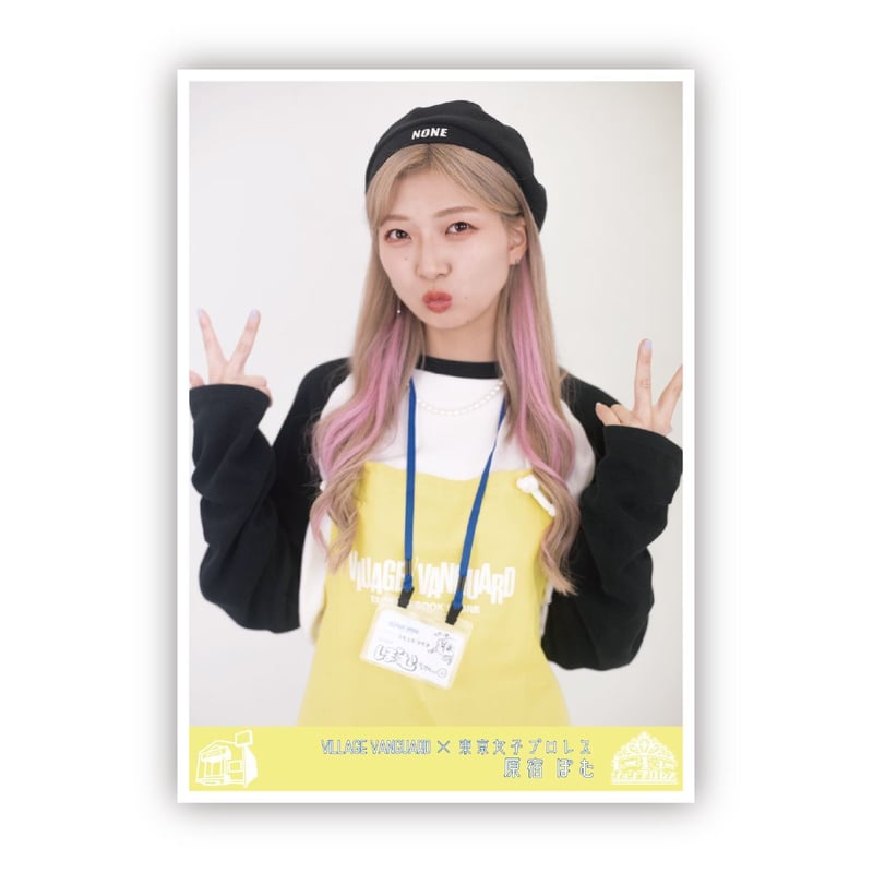 TJPW東京女子プロレス×ヴィレッジヴァンガード　ブロマイド全14種コンプセット fit=scale-down,w=1200