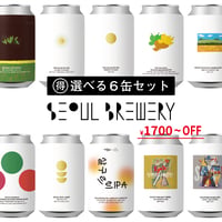 【飲み比べ】SEOUL BREWERYクラフトビール6本セット