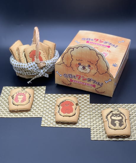 今日もワンダフル！トイプードル