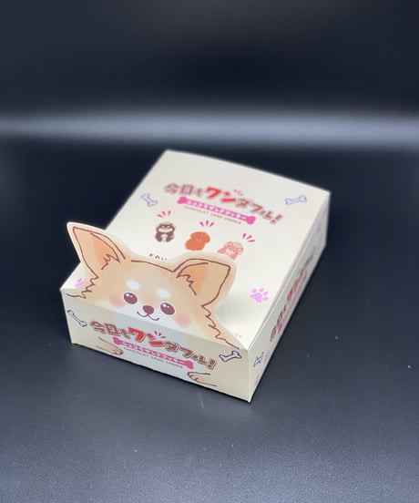 今日もワンダフル！チワワ