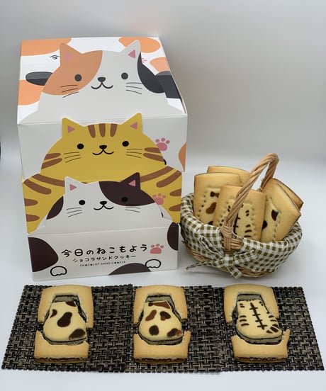 今日のねこもよう