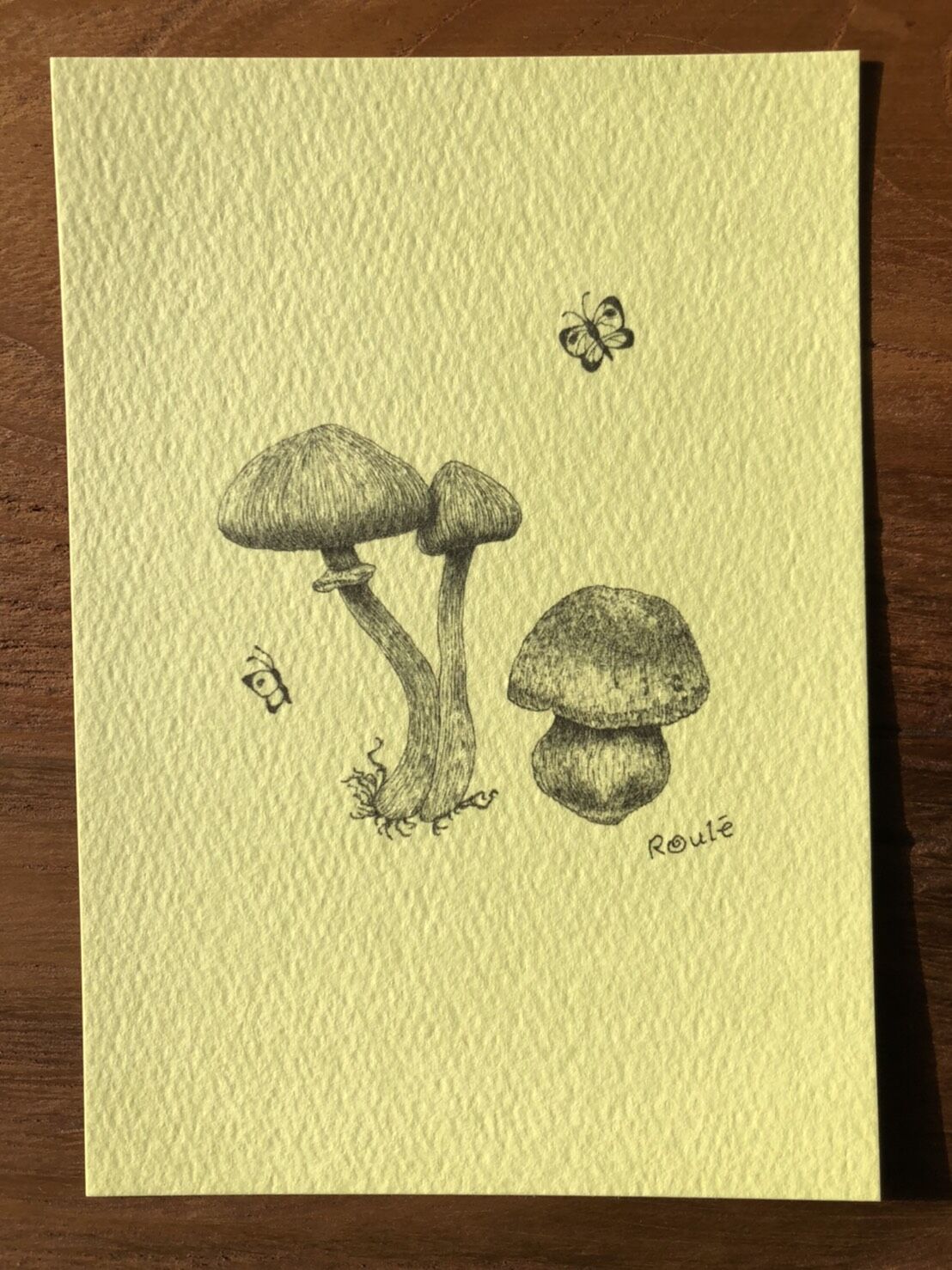 ポストカード（オフセット印刷）きのこ【用紙3種類】 | Roule