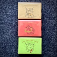 ステラな日々Box入りメッセージカード（１０８枚入り）