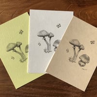 ポストカード（オフセット印刷）きのこ【用紙3種類】