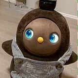 星みずくSTORE