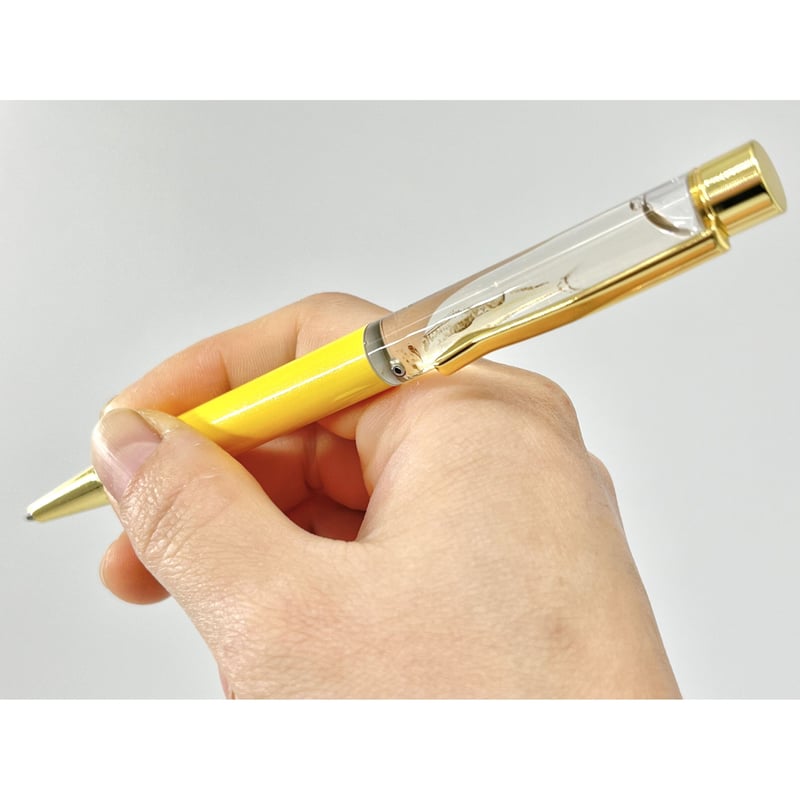 世界初！【はだかんぼーるぺん】透明標本入りボールペン！ | 幼魚  