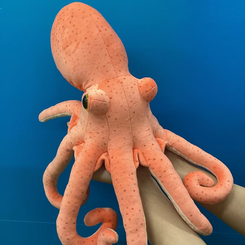 タコ ぬいぐるみ | 幼魚水族館 オンラインショップ 幼魚屋
