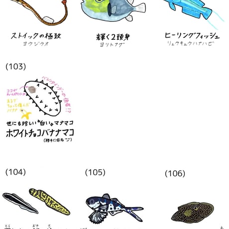 【全111種】オリジナル魚名板アクリルキーホルダー
