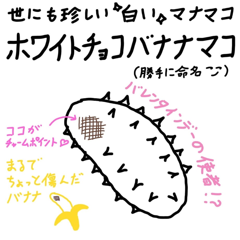 6422a45fe2a988002977a476