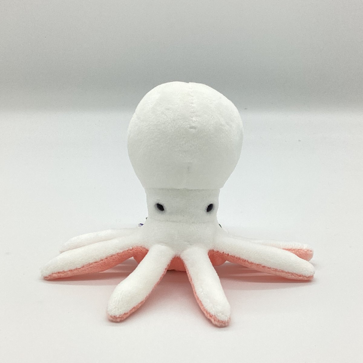 タコの赤ちゃん ぬいぐるみ | 幼魚水族館 オンラインショップ 幼魚屋 タコの赤ちゃん ぬいぐるみ | 幼魚水族館 オンラインショップ 幼魚屋