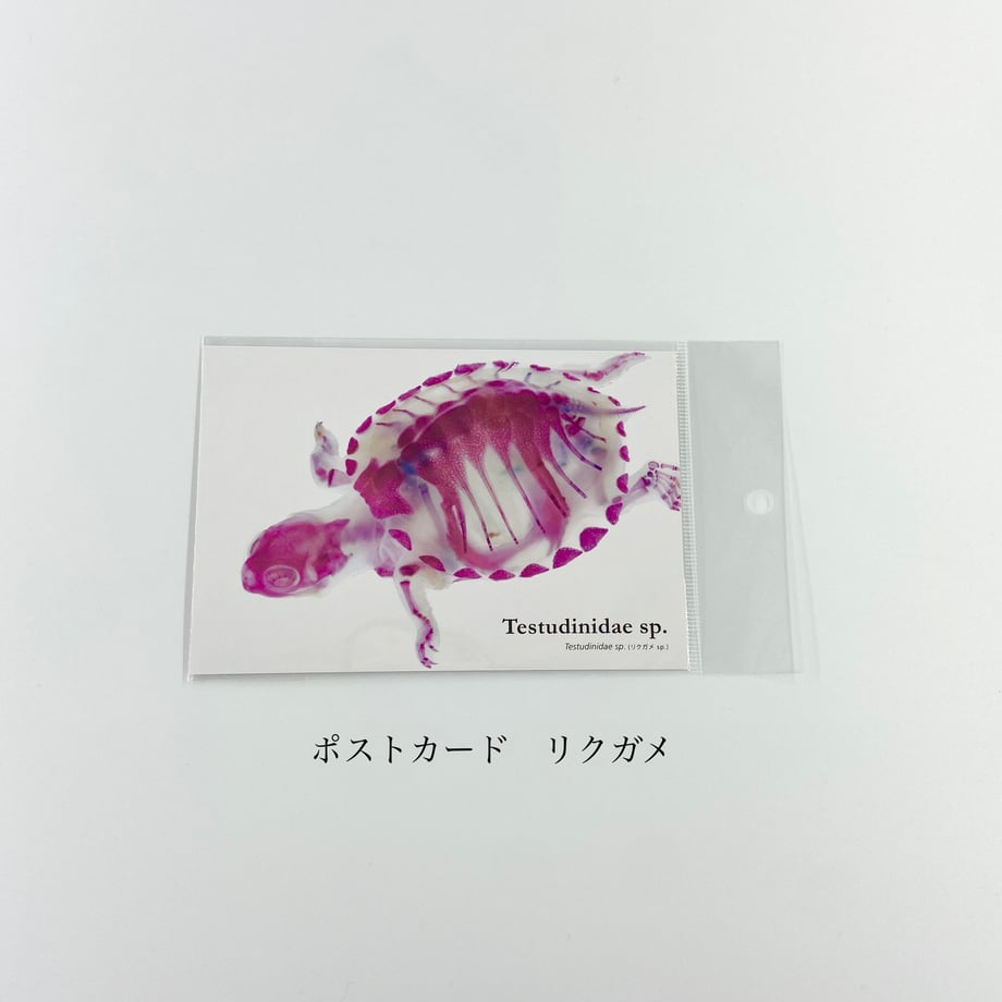 6513ad701ef430002f1cf854