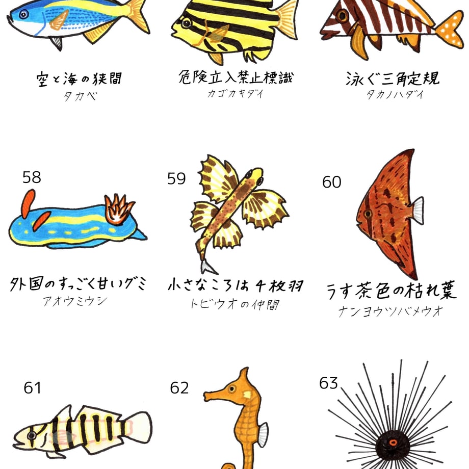 637edbc9ba62e03615edfa9d