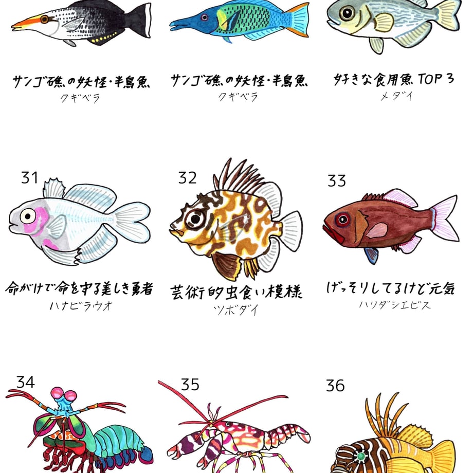 637edbc9ba62e03615edfa9d