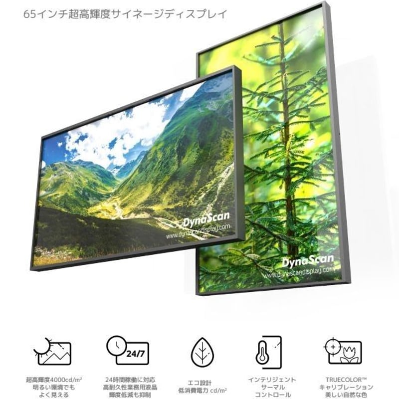 業務用高輝度LCDディスプレイ DynaScan製 65インチ DS653LT5 | SANY
