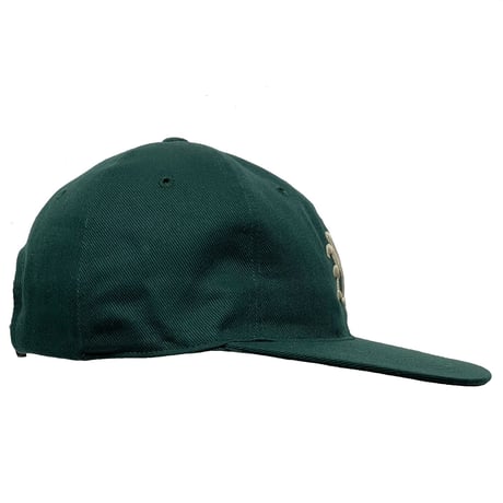 ACAPULCO GOLD　"NY LOGO" 6PANEL CAP (GREEN)
