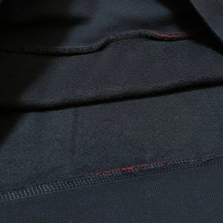 POLO RALPHLAUREN　"THE USA" HOODIE