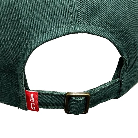 ACAPULCO GOLD　"NY LOGO" 6PANEL CAP (GREEN)