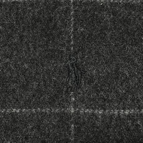 POLO RALPHLAUREN　CHECK SCARF