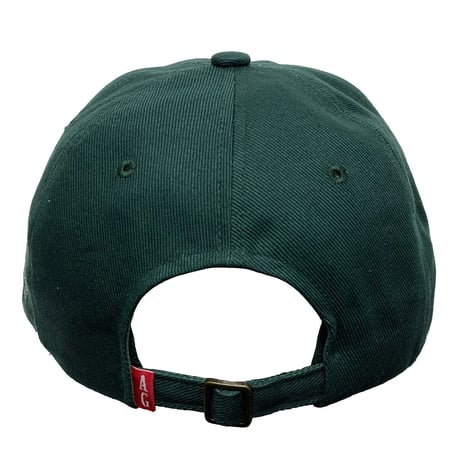 ACAPULCO GOLD　"NY LOGO" 6PANEL CAP (GREEN)