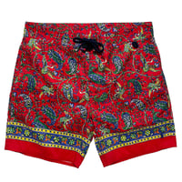 POLO RALPHLAUREN　"HURON CHOPPA" SWIM SHORTS