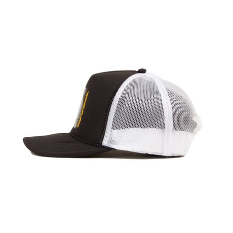 ACAPULCO GOLD　MESH CAP