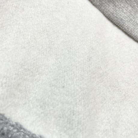 Champion　US限定"12oz REVERSE WEAVE" HOODY