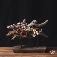 二匹の管狐