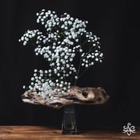 流水花（#002）