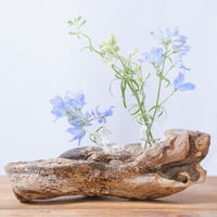 流木flowerベース