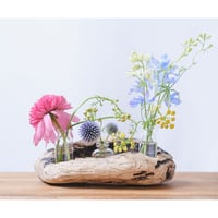 流木flowerベース