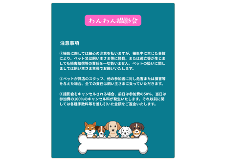 11月24日（月）わんわん撮影会　（12）12:40〜