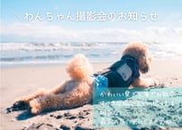 12月3日（日）わんちゃん撮影会　①10:00〜10:15