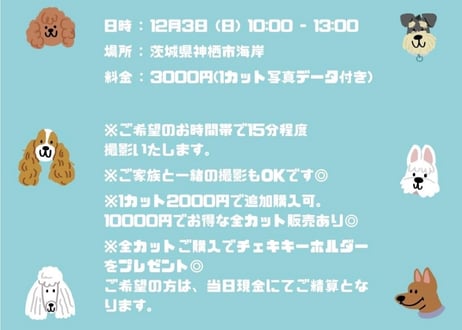 12月3日（日）わんちゃん撮影会　⑥11:40〜11:55