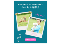 11月24日（月）わんわん撮影会　⑥10:40〜