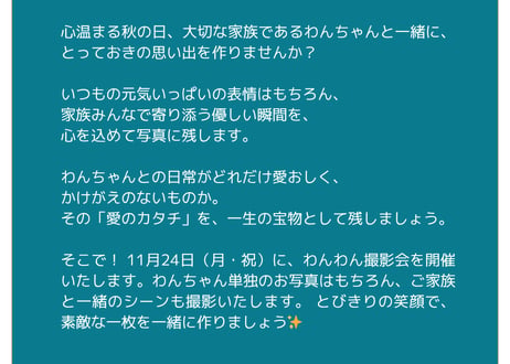 11月24日（月）わんわん撮影会　（12）12:40〜