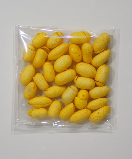 カラフル繭玉