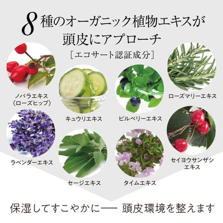 【25％OFF定期便】シャンプー300mL パウチ (初回特典空ボトル付)